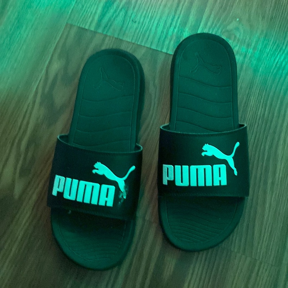 Puma slides